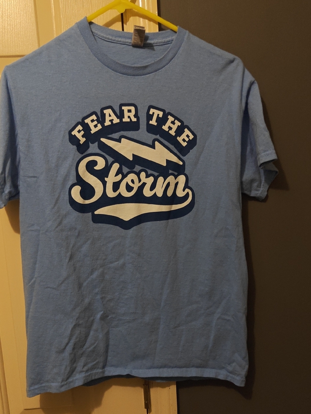 Gildan Light Blue 'Fear The Storm' Graphic Tee with Navy and White Print
